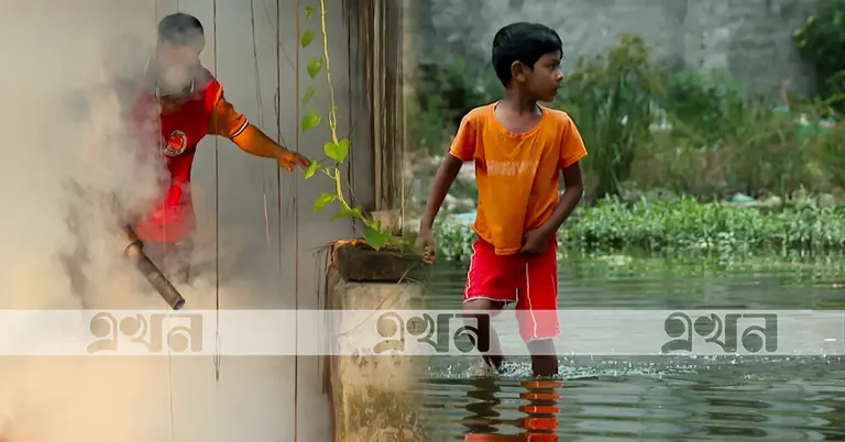 রাজধানীতে ডেঙ্গু আতঙ্ক